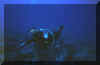 cathy wave.JPG (57568 bytes)