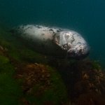 Lundy2010004