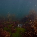 Lundy2010007