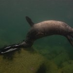 Lundy2010013