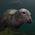 Lundy2010022