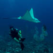 Maldives 2008