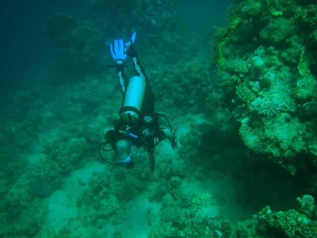 Photograph