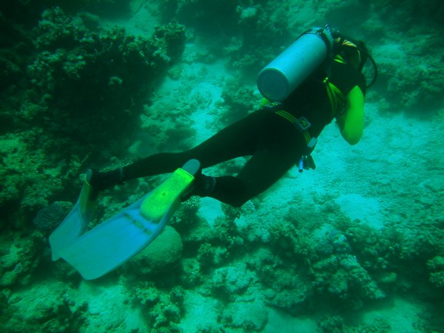 Photograph